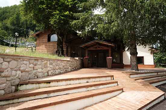 Campo stella